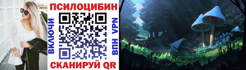 omg tor  Тайга  Псилоцибиновые грибы мицелий 